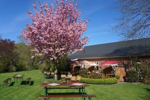 Gasthof-Dahms-Gartenterasse-Ansicht-Garten