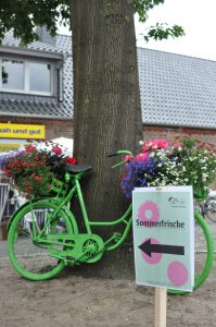 Gasthof-Dahms_Sommerfrische_Gruenes-Fahrrad
